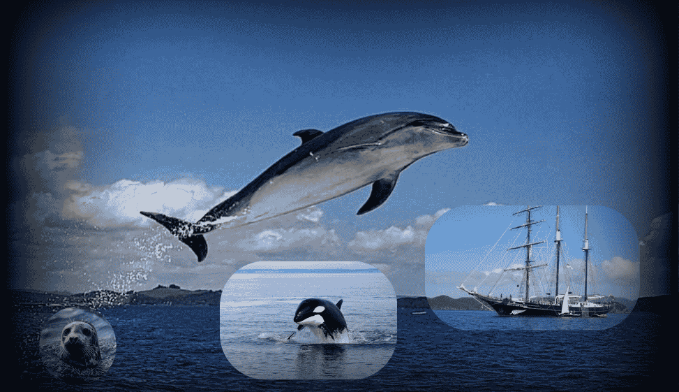 Stunning Seascapes